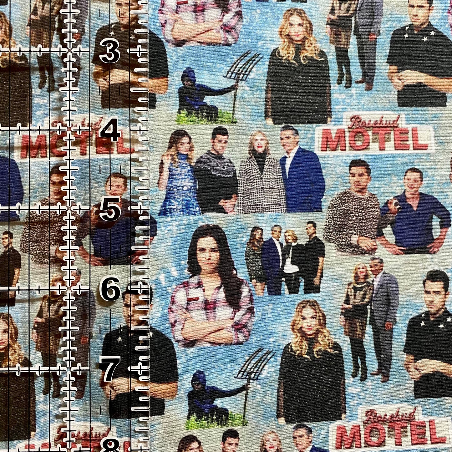 9x14 Tumbler Cut, Custom Fabric, CW Cotton Woven, High Quality, Mask Cut, Tumbler Fabric, Funny TV, New, Sitcom, David