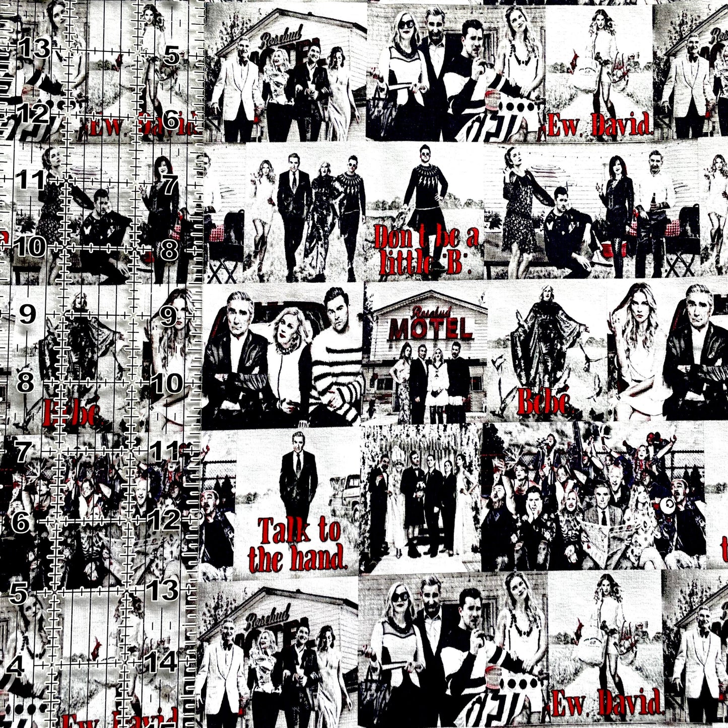 9x14 Tumbler Cut, Custom Fabric, CottonSpandex, High Quality, Mask Cut, Tumbler Fabric, TV, Show, Creek, Ew, David, Rose, Comedy, Reel