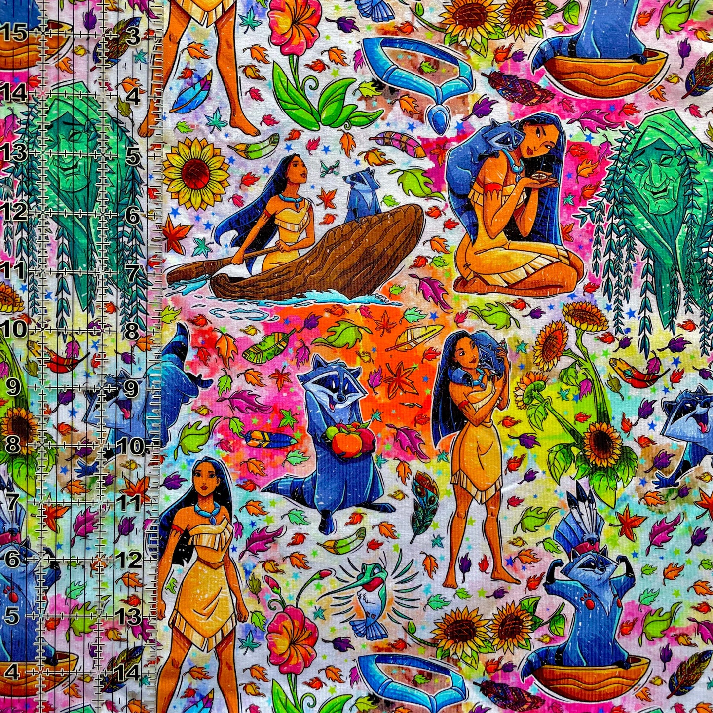 9x14 Tumbler Cut, Custom Fabric, CottonSpandex, High Quality, Mask Cut, Tumbler Fabric, Disney, Princess, Colors of the Wind, MAC