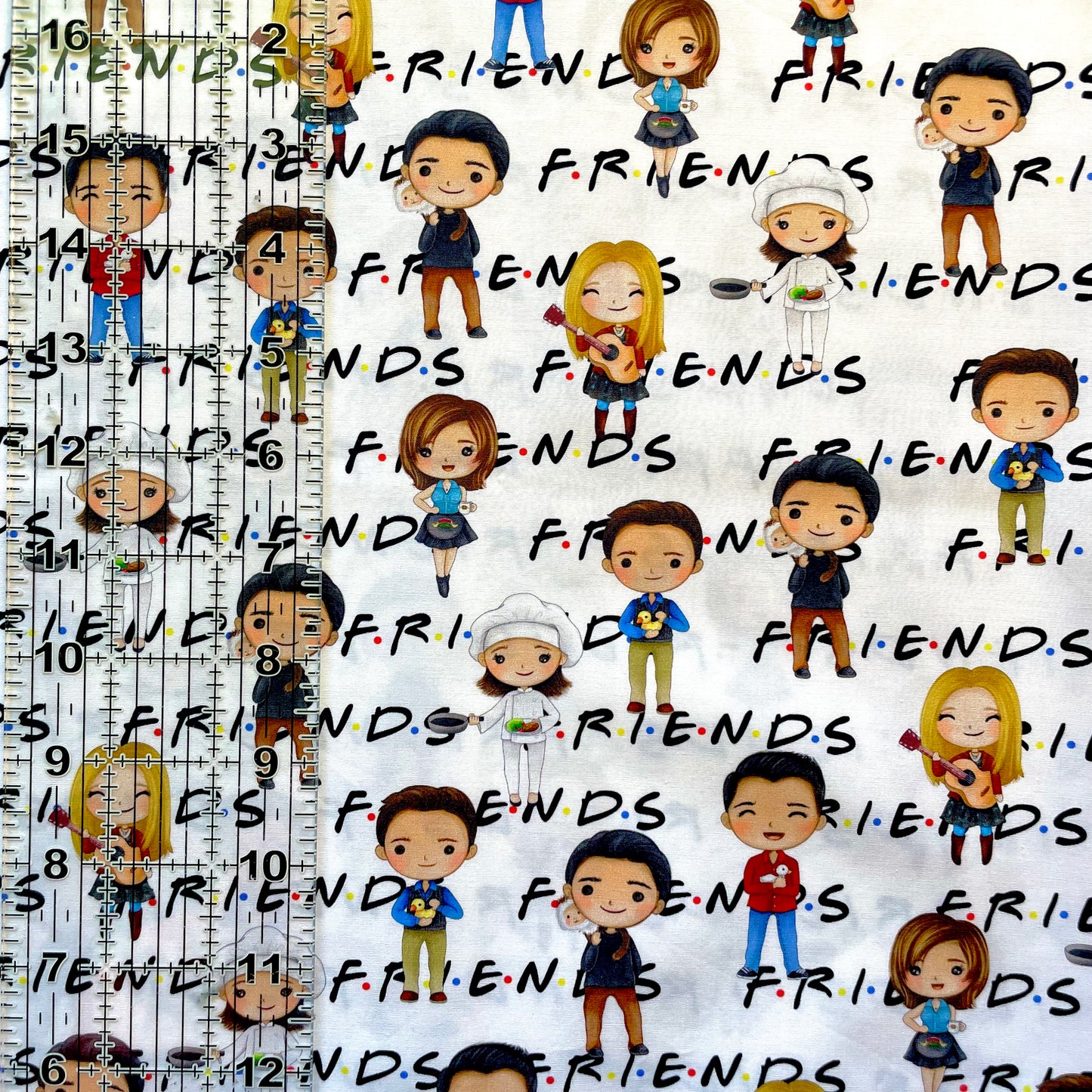 9x14 Tumbler Cut, Custom Fabric, CW Cotton Woven, High Quality, Mask Cut, Tumbler Fabric, TV, Series, Comedy, 90s, Friends, White, Rows