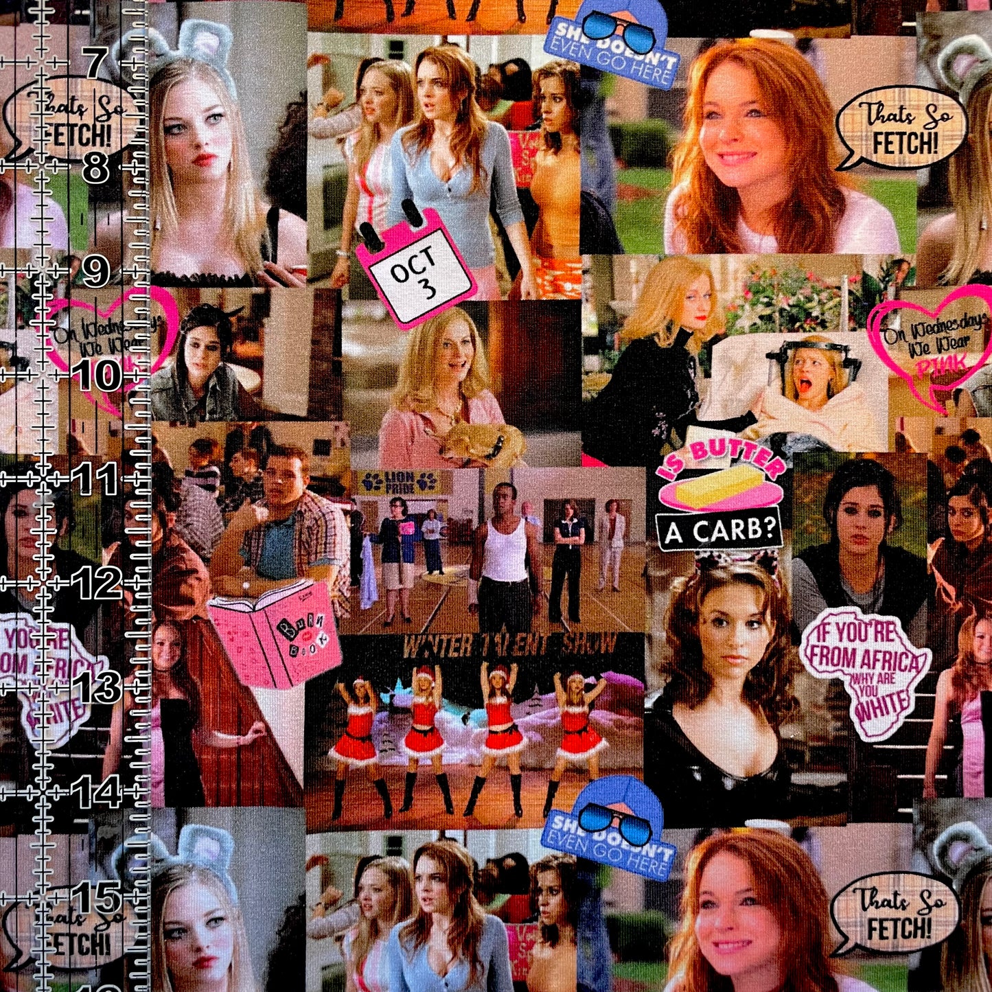 9x14 Tumbler Cut, Custom Fabric, CottonSpandex, High Quality, Mask Cut, Tumbler Fabric, TV, Show, Movie, Mean Girls