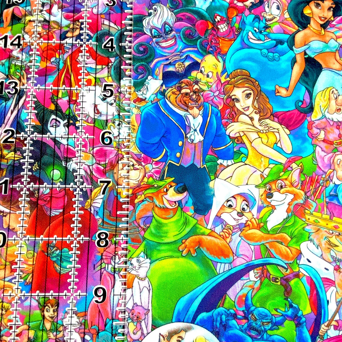 9x14 Tumbler Cut, Custom Fabric, CW Cotton Woven, High Quality, Mask Cut, Tumbler Fabric, Disney, Princess, Characters, Cartoons