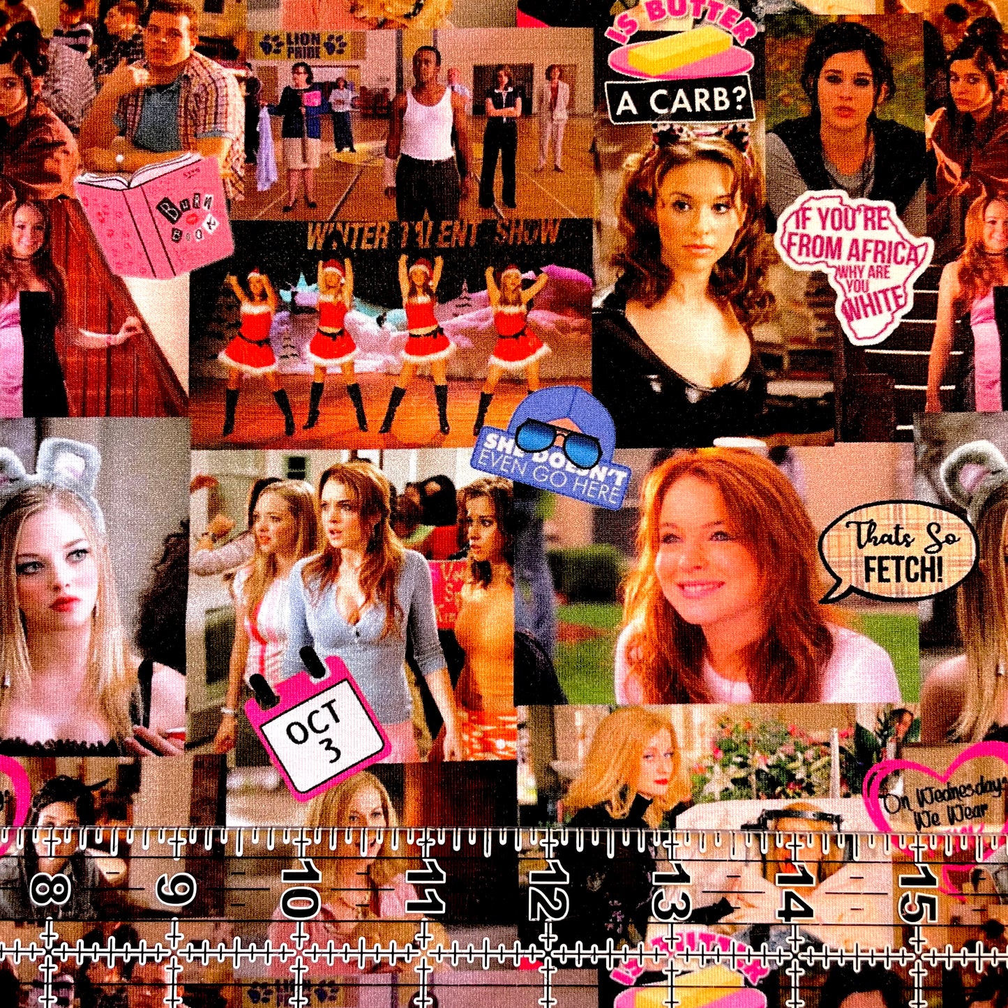 9x14 Tumbler Cut, Custom Fabric, CottonSpandex, High Quality, Mask Cut, Tumbler Fabric, TV, Show, Movie, Mean Girls